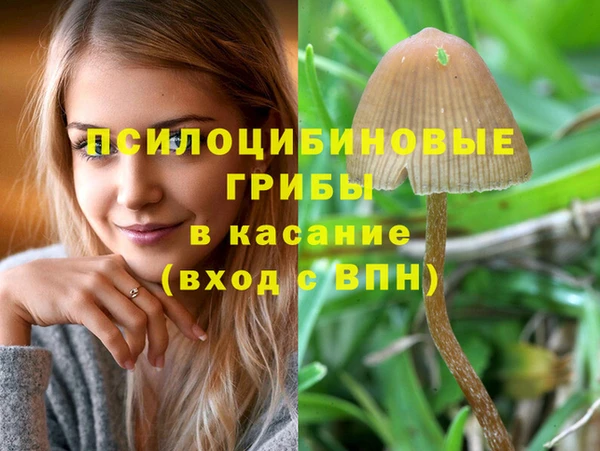 СК Новозыбков