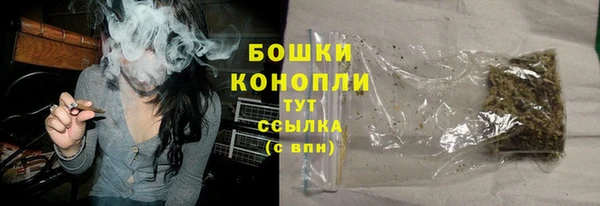 PSILOCYBIN Нефтекумск