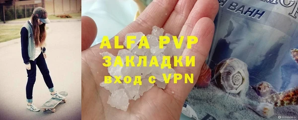 СК Новозыбков