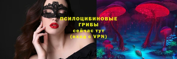 трава Новокубанск