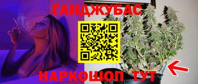 шишки Заволжье