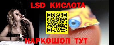 шишки Заволжье