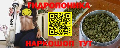 шишки Заволжье