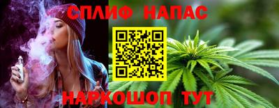 шишки Заволжье