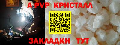 шишки Заволжье