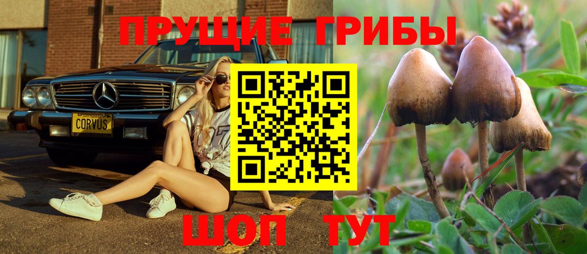 Псилоцибиновые грибы Cubensis Нефтекамск