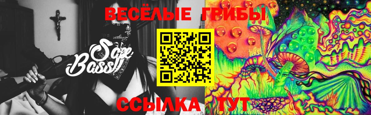 Галлюциногенные грибы Cubensis  закладка  Нефтекамск 