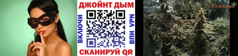 Бошки марихуана гибрид  ОМГ ОМГ вход  Нефтекамск  где купить наркотик 